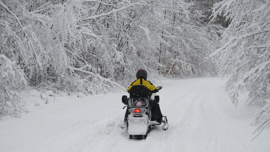 Picture Yourself Snowmobiling in Cadillac, Michigan