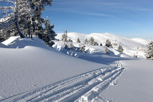 3 Features to Look for in a Premium Snowmobile Helmet