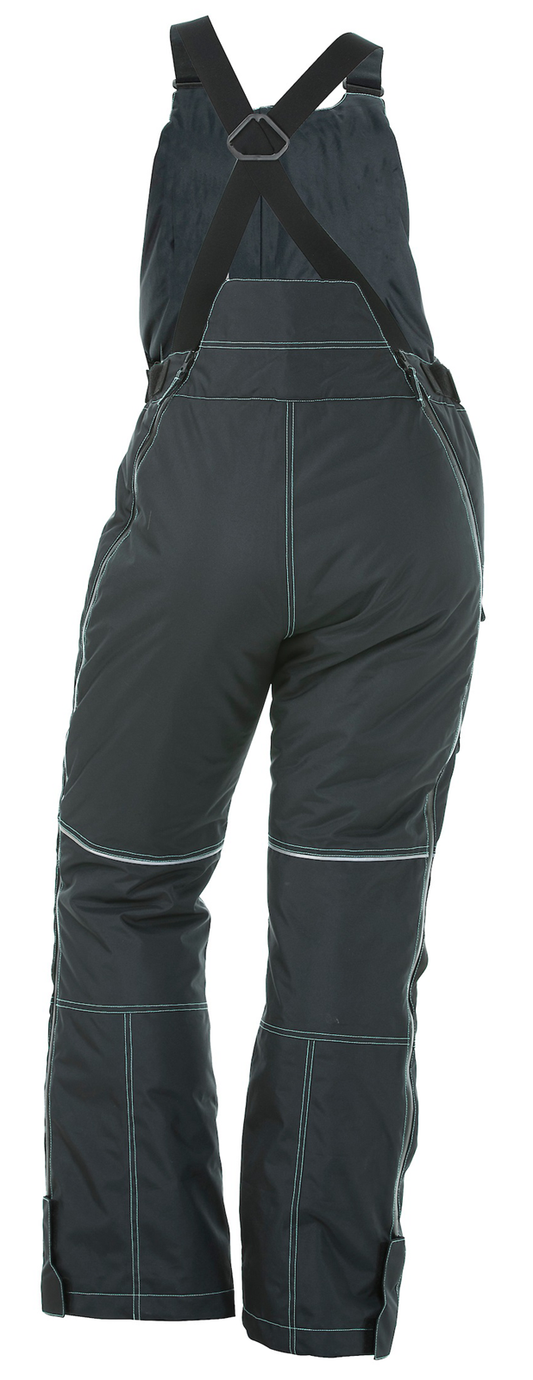 DSG Women's Arctic Appeal Ice Bib