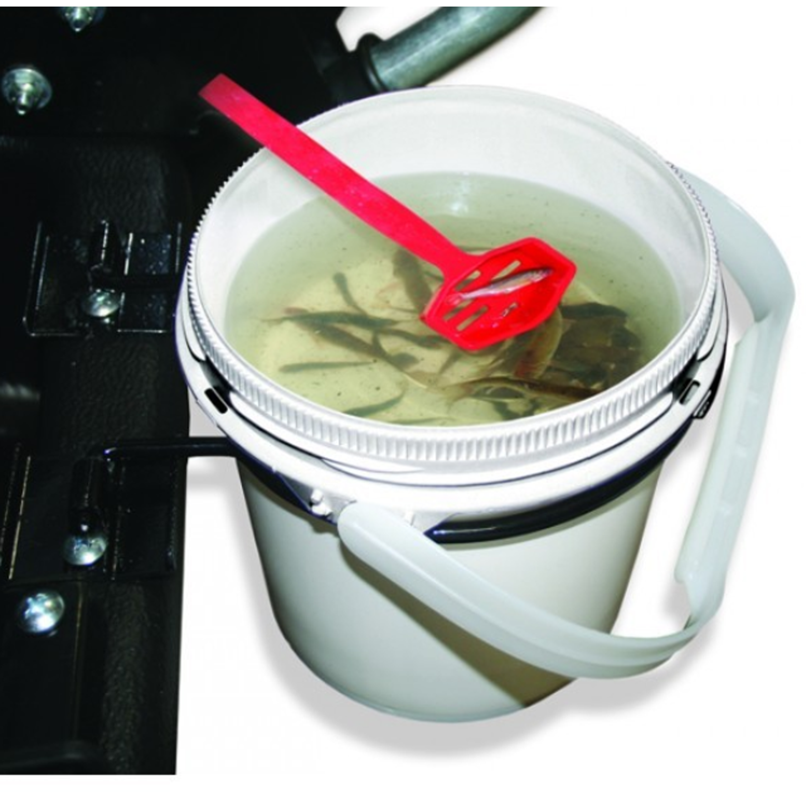 clam collapsible minnow bucket fish hauler Bait Well Gold Series Rods purpose handles come together Sufix® Ice Braid | Color:Pink Shad