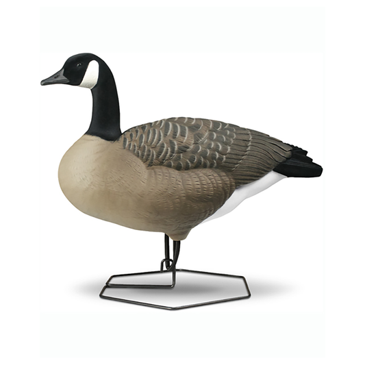DOA Fullbody Canada Goose Decoy