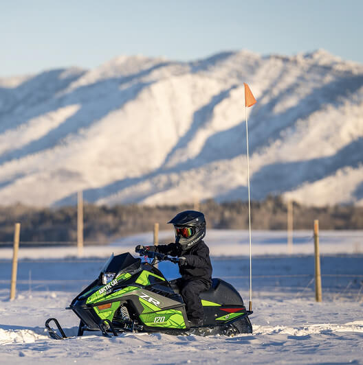 Up North Sports