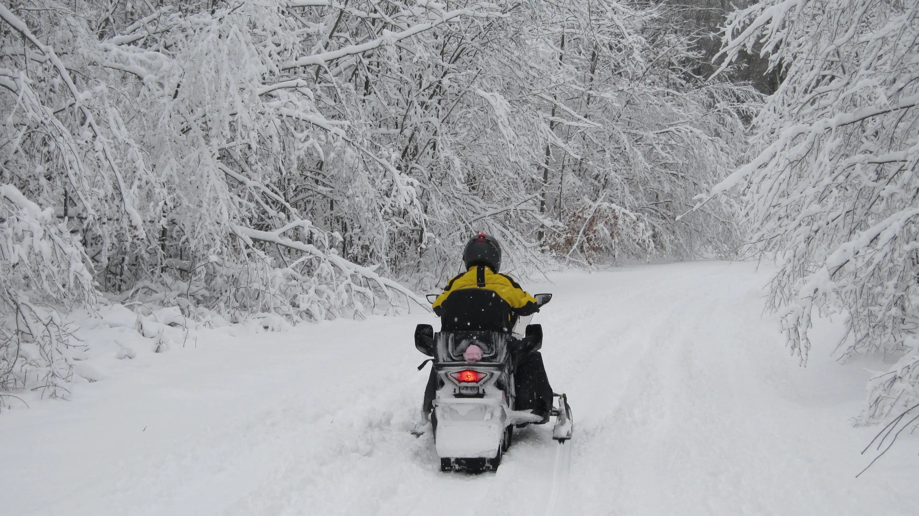 Picture Yourself Snowmobiling in Cadillac, Michigan