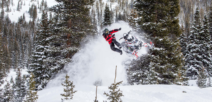Banner for SLEDNECKS - Chris Burandt Series collection
