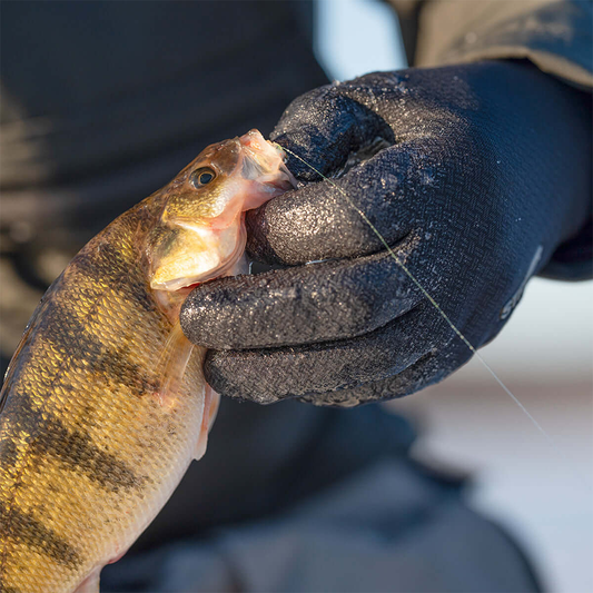 Striker Ice Stealth Glove