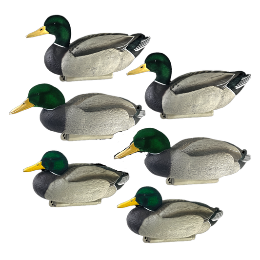 DOA Cowboy Pack Flocked Head Mallards