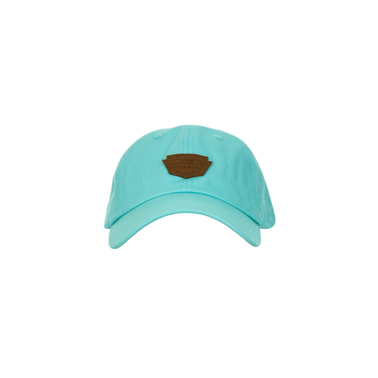  DSG Patch Baseball Cap