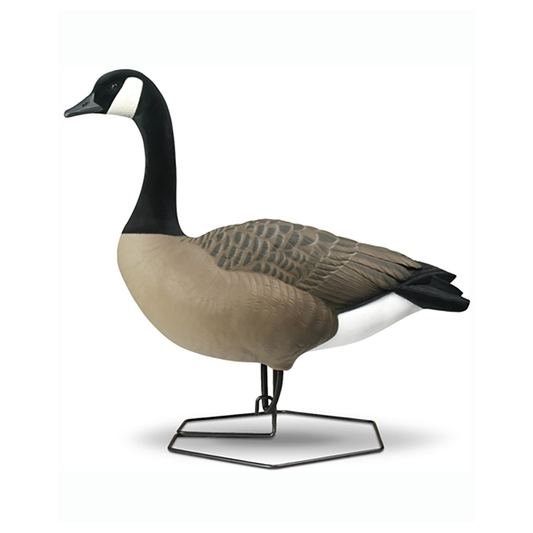 DOA Fullbody Canada Goose Decoy