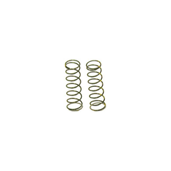 SLP Exhaust Valve Spring For Polaris SLP Exhaust Valve Springs For Polaris