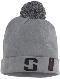 Striker Ice Antifrz Hat - Gray